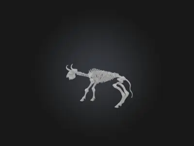Realistic Bison Skeleton Model Low-poly 3D model