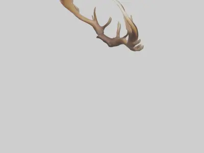 Elk Antlers Model 3D model