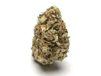 Cannabis Bud 01 3D model