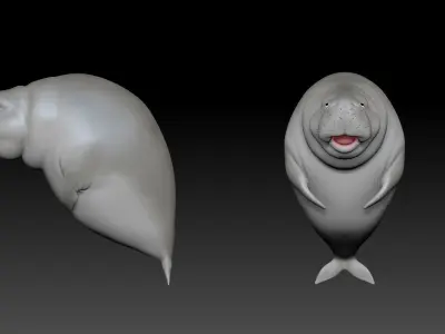 Dugong manatee Low-poly 3D model