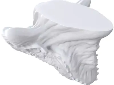 special dragon 3D print model