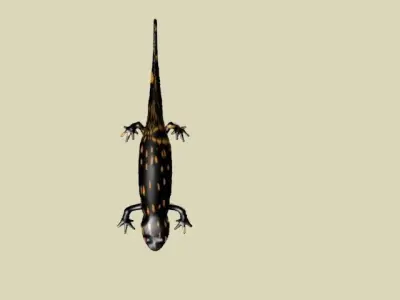 LIZARD LOW POLY 3D model