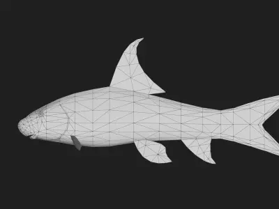 Carp fish Low-poly 3D model