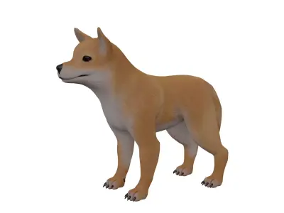 Floki Dog Low-poly 3D model