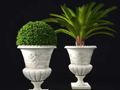 Plant Collection 05 3D model