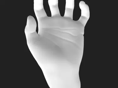 Grasping Hand STL - Flat Back Desk Holder 3D Printable  3D print model