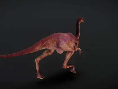 Camel Dragon Bone Binding Animation Low-poly 3D model
