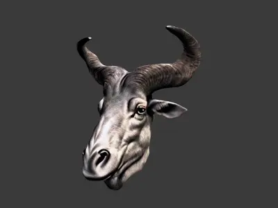 Deer Animal Head Low-poly 3D model 12