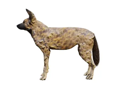 African wild dog Low-poly 3D model purchase