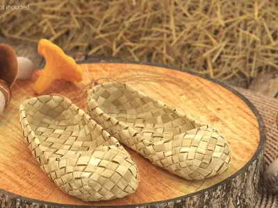  Bast Shoes on Saw Wooden Stump 