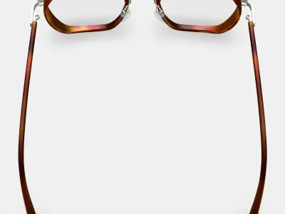 Levins Eyeglasses in Rye Tortoise Matte with Antique Silver 3D model