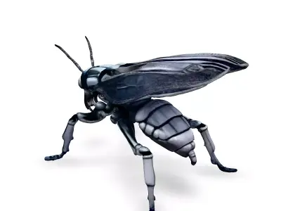 SciFi Robotic Insect Metal Wasp Low-poly 3D model purchase