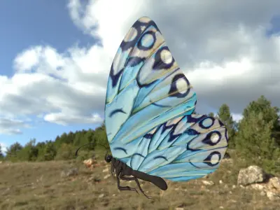 BUTTERFLY Low-poly 3D model order