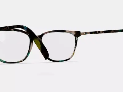 Esme Eyeglasses in Aventurine Tortoise with Polished Gold 3D model
