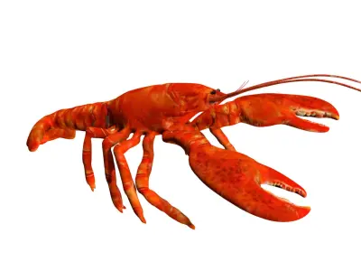 Lobstet lobster Low-poly 3D model