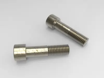 BrugolaM12 two stainless steel bolts 3D model