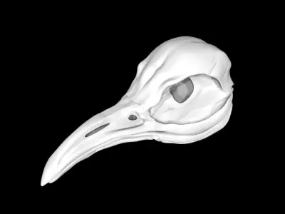 Penguin skull Low-poly 3D model