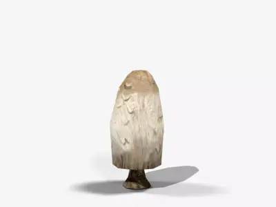 Coprinus Comatus Mushroom Low-poly 3D model