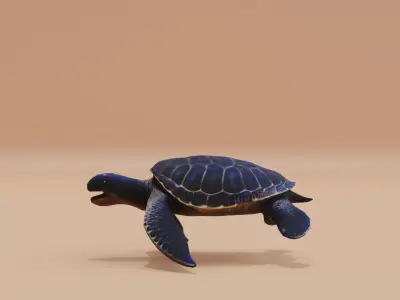 Turtle Sea with its sturdy shell Swimming Low-poly 3D model