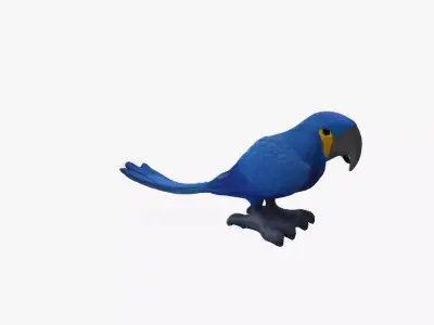 Macaw parrot 3d model Low-poly 3D model