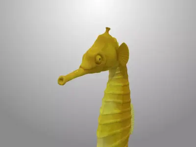 Seahorse fish 3D model Rigged Low-poly 3D model