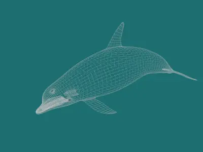 Dolphin Rigged swimming in sea Low-poly 3D model