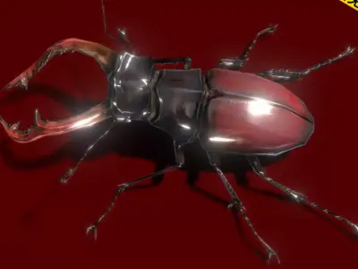 Red beetle animal 3D model