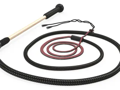 Historical Leather Whip Coiled Black 3D model