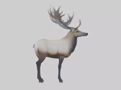 Elk deer Low-poly 3D model purchase