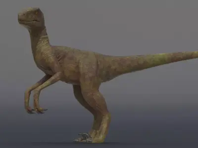 Velociraptor dinosaur Low-poly 3D model buy