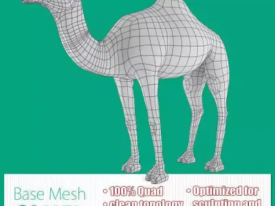 Camel Base Mesh Low-poly 3D model
