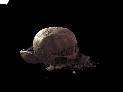 Broken Skull with Spider webs 6 3D model
