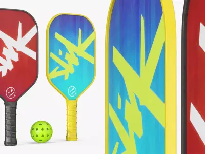 Pickleball Paddle Set with Ball and Rackets 3D model