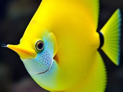 Vibrant Yellow Fish Brightly Colored Marine Blue Spots Long Fins Low-poly 3D model