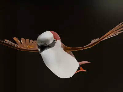 Animated Bird in Flight  Fully Rigged 3D Model for Games Renders Low-poly 3D model