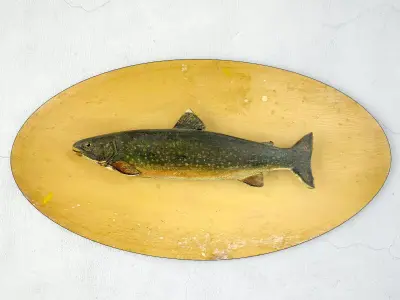 Antique Painted Carved Wood Fish Wall Sculpture 1 3D model