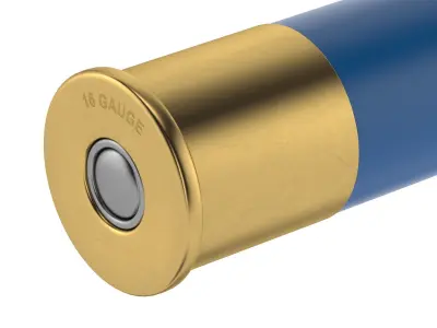 Bullet 16 GAUGE Low-poly 3D model