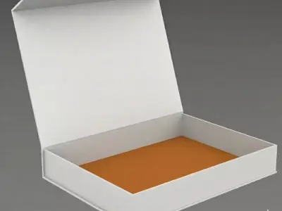 Open Packaging Mockup 3D model