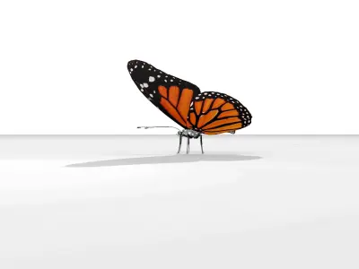 Butterfly orange insect Papillon 3D model