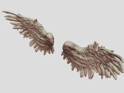 Feathered Bird or Angel Wings 3D model