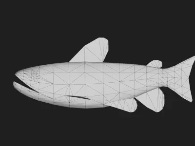 Catfish Low-poly 3D model order