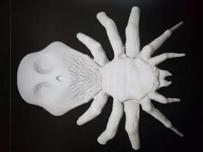 Skull Spider Free 3D print model purchase