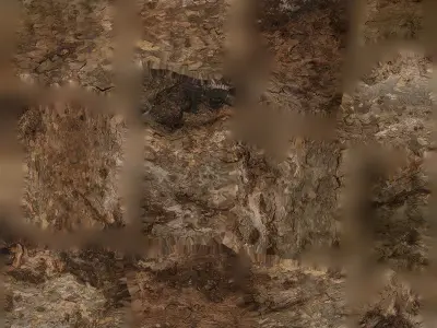 Anydrafts Platanus orientalis Trunk 02 Low-poly 3D model