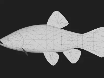 Carp fish Low-poly 3D model 11