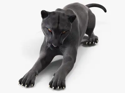 Black Panther Lying Down 3D model