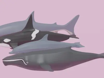 Cartoon Sea Animals Pack Low-poly 3D model