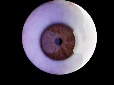 Realistic eye 3D model buy