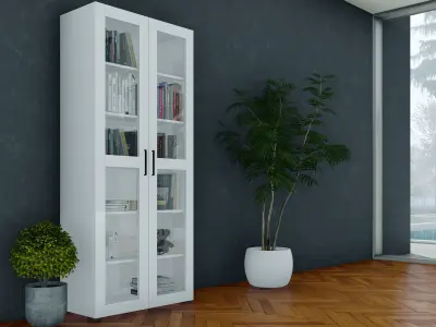 Glass Bookcase  Free 3D model