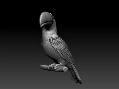 tucan toucan bird 3D model