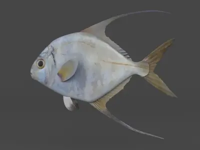 Threadfin Fish 3D model